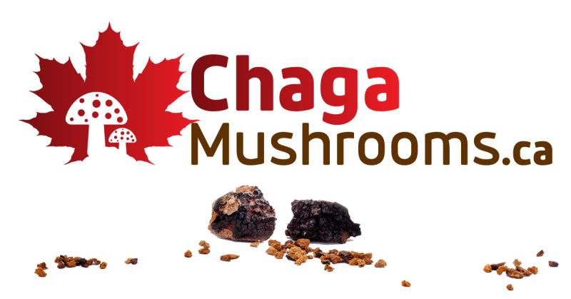 ChagaMushrooms.ca