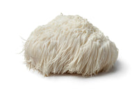 lions mane mushroom powder