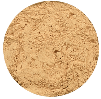 lion's mane mushroom powder in bulk