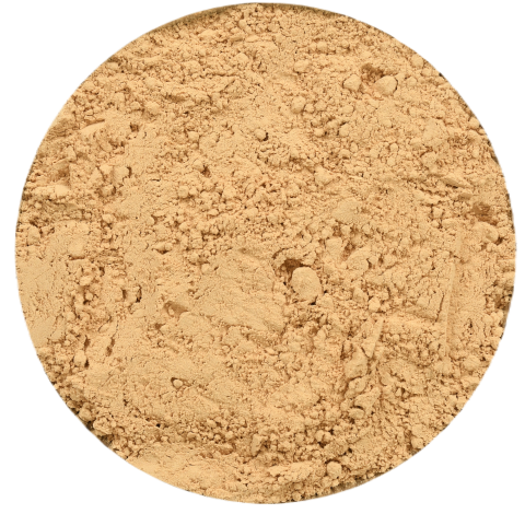 lion's mane mushroom powder in bulk