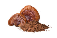 Reishi Powder