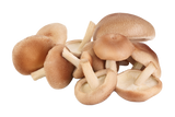 Shiitake Mushroom Powder