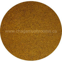 Canadian Chaga Mushroom Fine Powder - 454g (1lb)-ChagaMushrooms.ca