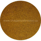 Canadian Chaga Mushroom Fine Powder - 454g (1lb)-ChagaMushrooms.ca